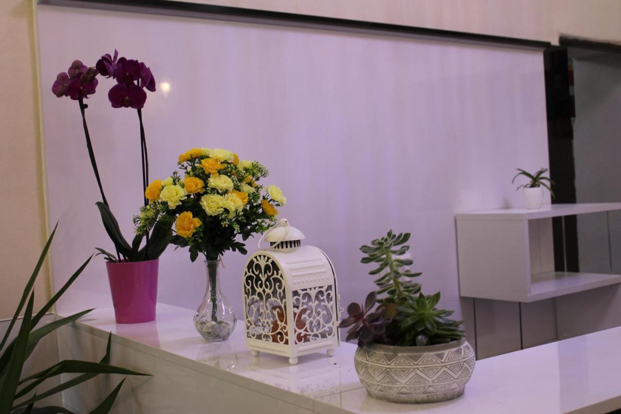 Pension Tv Planá Zewnętrze zdjęcie